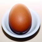 telur