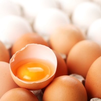 telur, sumber antioksidan